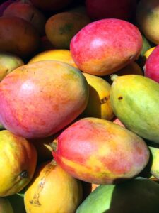 Gulabkhus Mango