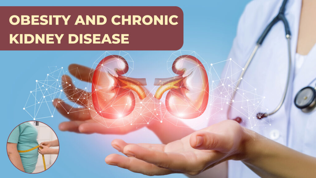 Obesity and chronic kidney disease: